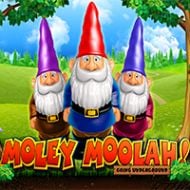 GamePlay Interactive